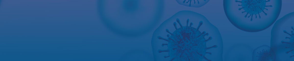 EVS Protects Web banner